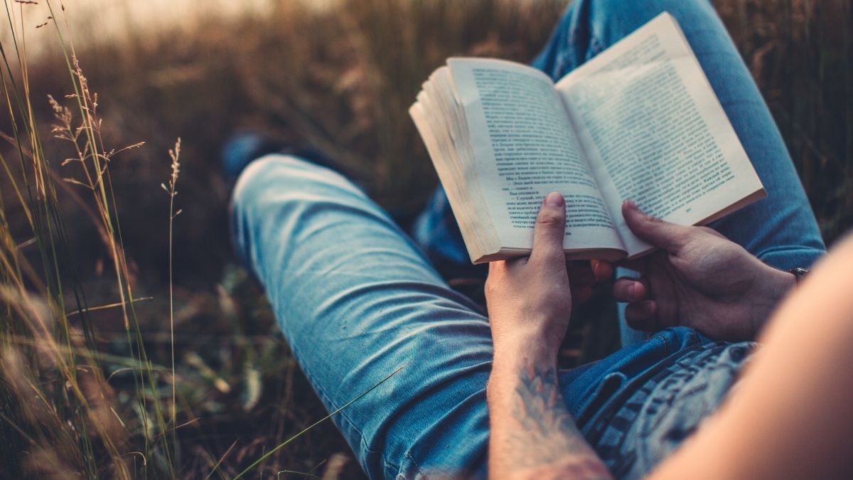 elementos y clasificación de la novela
